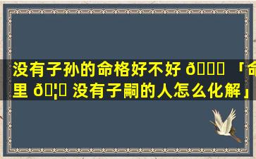 没有子孙的命格好不好 💐 「命里 🦉 没有子嗣的人怎么化解」